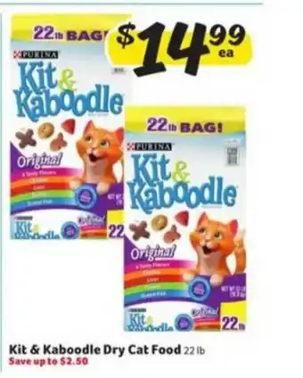 Winn Dixie Kit & Kaboodle Dry Cat Food offer