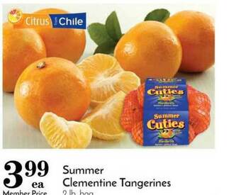 Pavilions Summer Clementine Tangerines offer