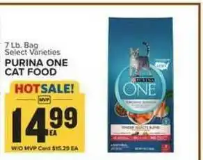 Food Lion Purina One Cat Food offer