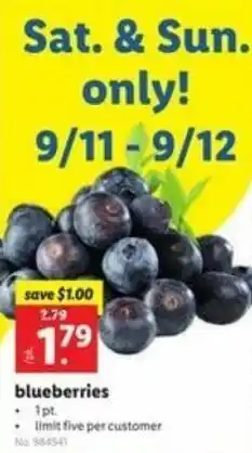 Lidl Blueberries 18 oz offer