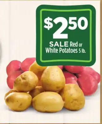Dollar General Red or white potatoes offer