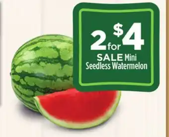 Dollar General Mini seedless watermelon offer
