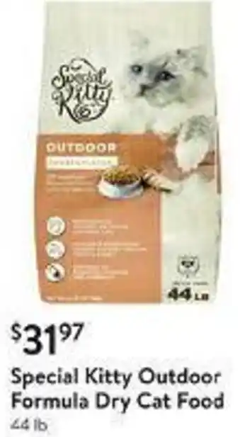 Walmart Special Kitty Outdoor Formula Dry Cat Food offer