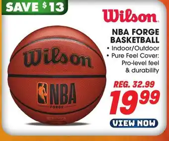 Big 5 Wilson nba forge basketball offer