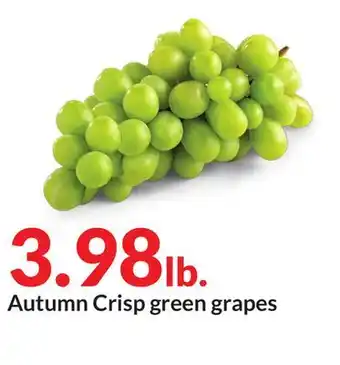 Hy-Vee Autumn crisp green grapes offer