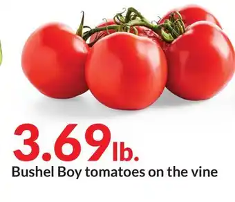 Hy-Vee Bushel boy tomatoes on the vine offer