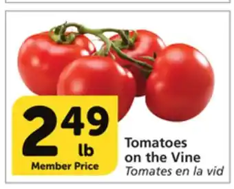 Albertsons Tomatoes on the vine offer
