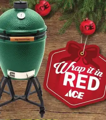 Ace Hardware Big green egg large ceramic grill & smoker starter kit offer