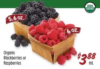 Sprouts Farmers Market Organic Blackberries or Raspberries offer