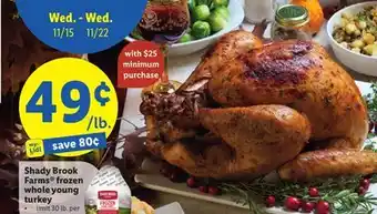 Lidl Shady brook farms frozen whole young turkey offer