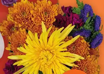 Lidl Seasonal field picks bouquet offer