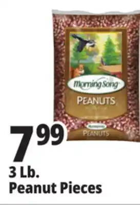 Ocean State Job Lot 3 lb. peanut pieces offer