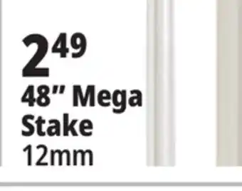 Ocean State Job Lot 48 mega stake offer