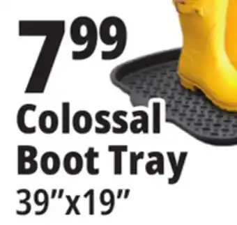 Ocean State Job Lot Colossal boot tray offer