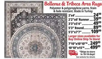 Ocean State Job Lot Bellevue & tribeca area rugs offer