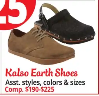Ocean State Job Lot Kalso earth shoes offer