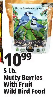 Ocean State Job Lot Nutty berries with fruit wild bird food offer