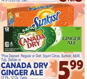 Bravo Supermarkets Canada dry ginger ale offer