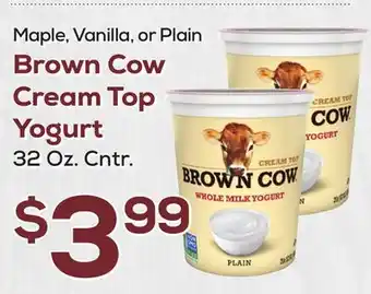 DeCicco & Sons Brown cow cream top yogurt offer