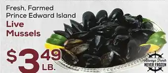 DeCicco & Sons Live mussels offer