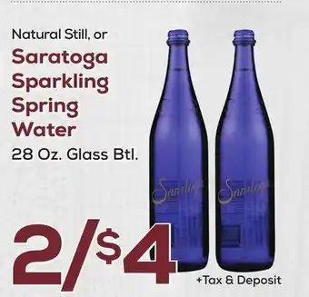 DeCicco & Sons Saratoga sparkling spring water offer