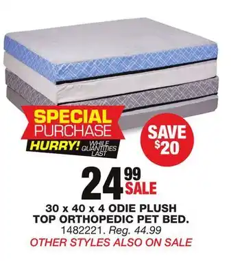 Blain's Farm & Fleet 30 x 40 x 4 odie plush top orthopedic pet bed offer