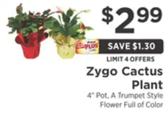 ShopRite Zygo cactus plant offer