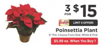 ShopRite Poinsettia plant offer