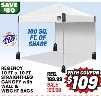 Big 5 E-z up regency 10' x 10' straight leg canopy with side wall and 4 weight bags offer