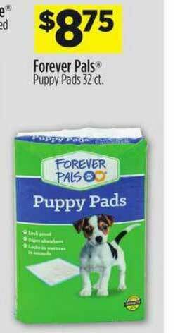 Dollar General Forever Pals offer