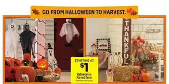 Dollar General Halloween Or Harvest Decor offer