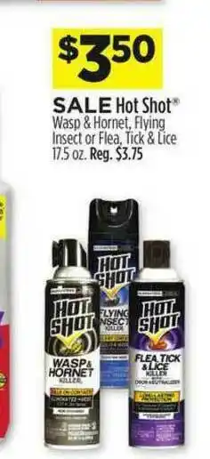 Dollar General Hot Shot Wasp & Hornet Flying Insect Or Flea Tick & Lice offer