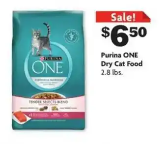 Family Dollar Purina One Dry Cat Food offer