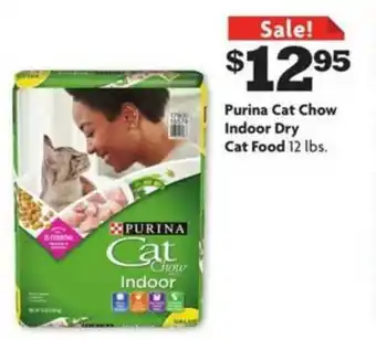 Family Dollar Purina Cat Chow Indoor Dry Cat Food offer