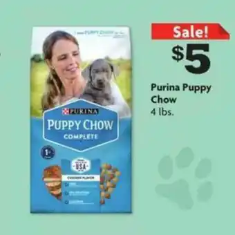 Family Dollar Purina Puppy Chow offer