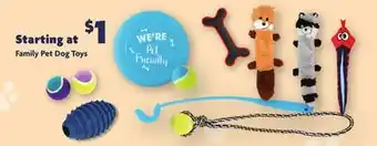 Family Dollar Family pet dog toys offer