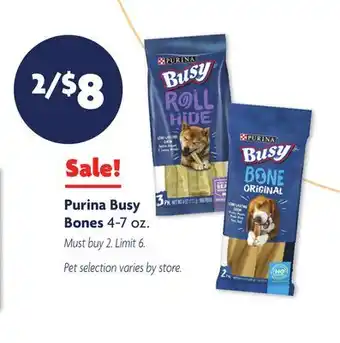 Family Dollar Purina busy bones offer