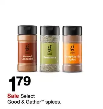 Target Select good & gather spices offer