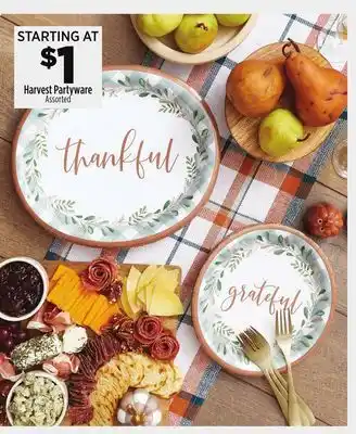 Dollar General Harvest partyware offer