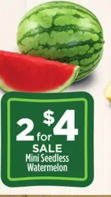 Dollar General Mini seedless watermelon offer