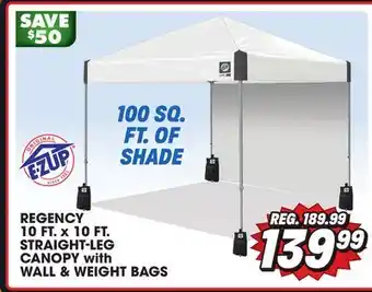 Big 5 E-z up regency 10' x 10' straight leg canopy with side wall and 4 weight bags offer