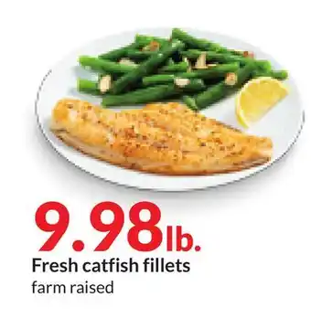 Hy-Vee Fresh catfish fillets offer
