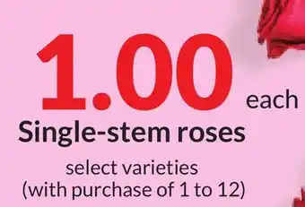 Hy-Vee Single-stem roses offer