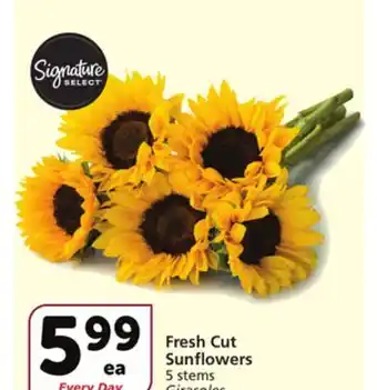 Vons Fresh cut sunflowers offer
