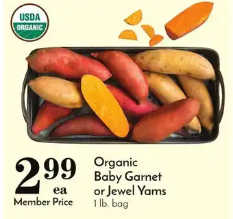 Pavilions Organic baby garnet or jewel yams offer