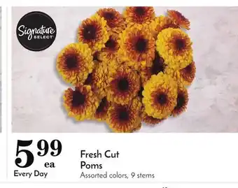 Pavilions Fresh cut poms offer