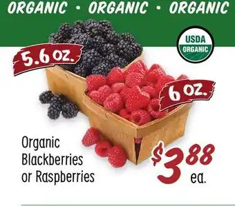 Sprouts Farmers Market Organic blackberries or raspberries offer