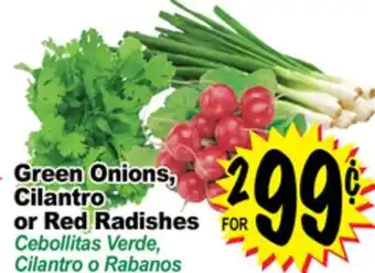 Superior Grocers Green onions, cilantro or red radishes offer