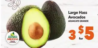 Vallarta Supermarkets Large hass avocados / aguacate grande offer