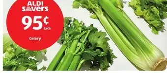 Aldi Celery offer